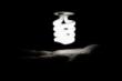Compact Fluorescent Bulbs Found To Emit UV Rays Harmful to Skin Cells;...